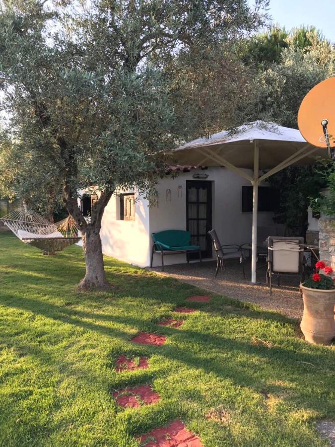 Oasis Aparthotel Skiathos Town Ngoại thất bức ảnh