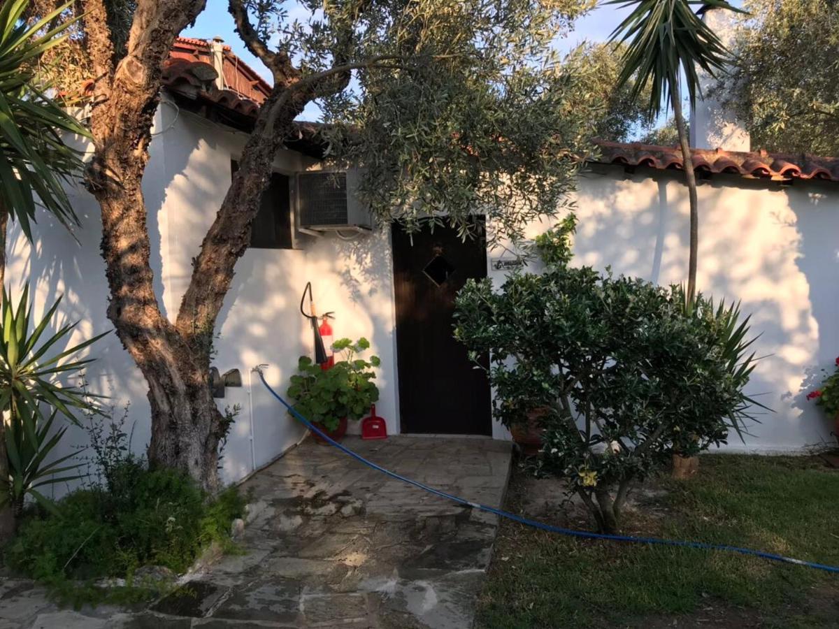 Oasis Aparthotel Skiathos Town Ngoại thất bức ảnh